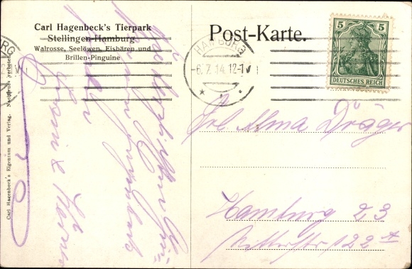 Artist Postcard de Bruycker, HvJ, Hamburg Eimsbüttel Stellingen, Carl Hagenbeck&#39;s zoo, walruses