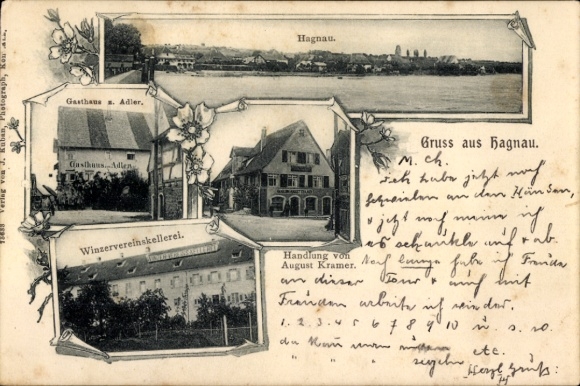 Ak Hagnau am Bodensee, Gasthaus zum Adler, Geschäft August Kramer, Winzervereinskellerei, Panorama