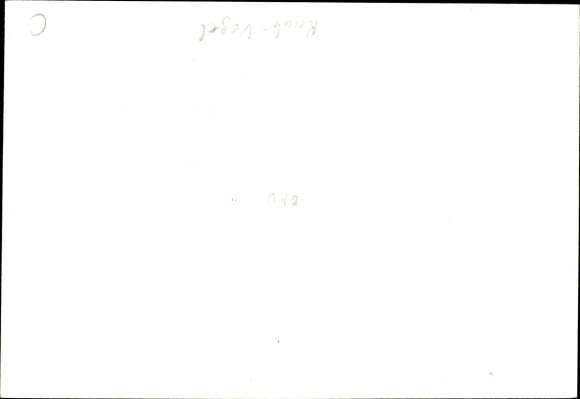 Photo Postcard Geier, animal portrait