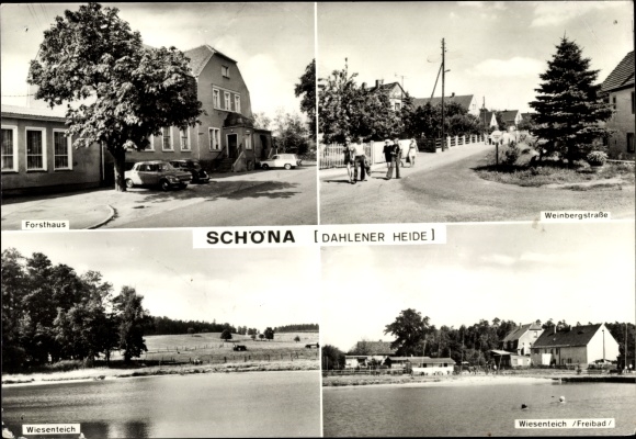 Ak Schöna Cavetitz in Saksen, boswachtershut, weidevijver, buitenzwembad, Weinbergstrasse