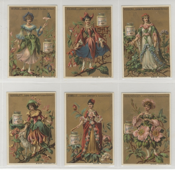 Liebig picture series A 92 S 217 Flower Girl II, 1887