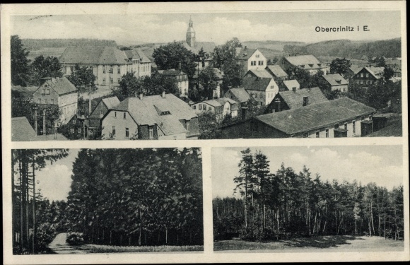 Ak Obercrinitz Crinitzberg in Sachsen, Teilansicht, Vogelschau, Forst