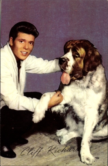 Postcard singer Cliff Richard, portrait with Saint Bernard