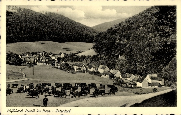 Ak Lonau Herzberg am Harz, luchtfoto van koeien, velden, berglandschap, dorpsgezicht