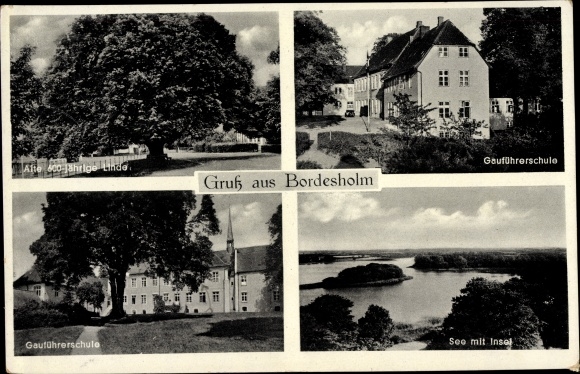 Ak Bordesholm in Holstein, Gauführerschule, 600 jährige Linde, See m. Insel