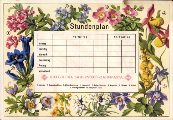 Timetable advertising BIOX-Ultra toothpaste, picture checks, flowers, plants around 1960