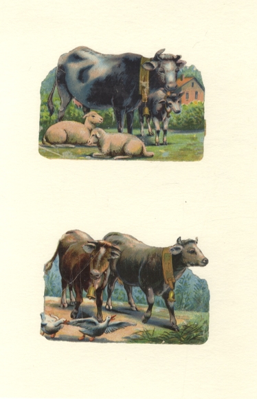 2 Oblaten Kühe mit Schafen, Kühe mit Enten, je ca. 8 x 12 cm