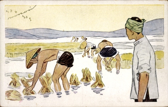 CPA Le Riz d'Indo-Chine, Arrachage avant repiquage