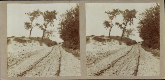 Stereo photo Rockanje South Holland, game near the dunes