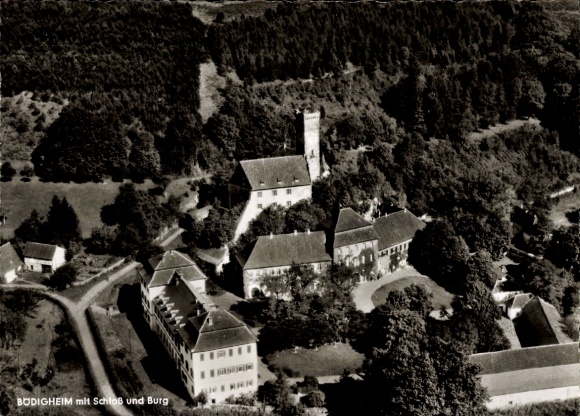 Ak Bödigheim Buchen in Odenwald Baden, luchtfoto van het kasteel en paleis, omgeven door bomen