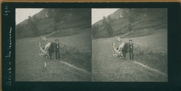 Stereo photo Beard Nièvre, man with horse on a dirt road
