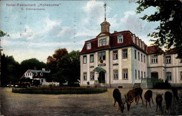 Ak Eisenach in Thüringen, Hotel Restaurant Hohesonne, O. Zimmermann