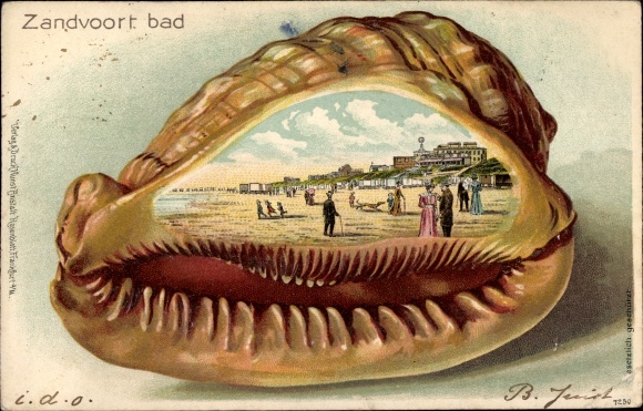 Muschel Litho Zandvoort aan Zee Nordholland Niederlande, Strand