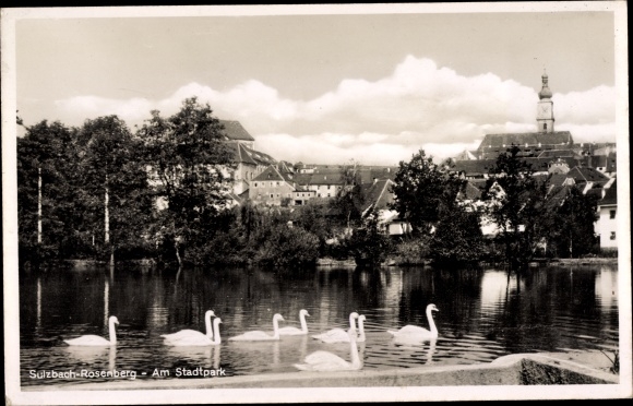 Ak Sulzbach Rosenberg, Partie am Stadtpark, Schwanenteich