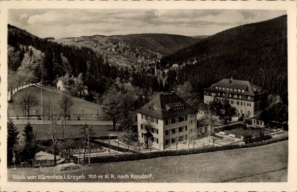Ak Bärenfels Altenberg im Erzgebirge, Talblick nach Kipsdorf, Umgebung, Wohnhäuser