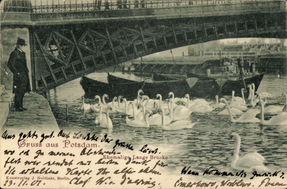 Ak Potsdam, Ehemalige Lange Brücke, Schwäne
