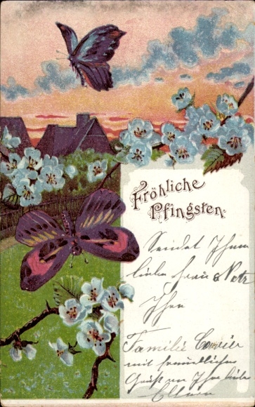 Ak Glückwunsch Pfingsten, Baumblüte, Schmetterlinge