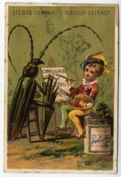 Liebig single picture picture 4 series A 26 S 91 insects, snails and children 1878