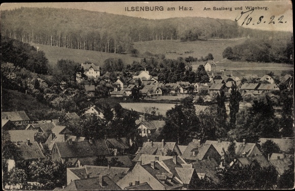 Postcard Ilsenburg am Nordharz, Saalberg and Wienberg