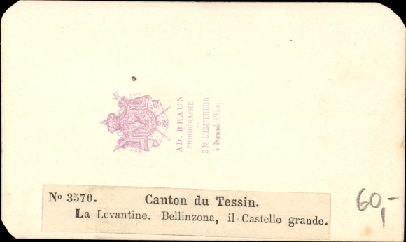 CDV Bellinzona Canton Ticino, total view, castle