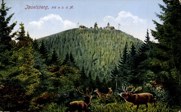 Postcard Brotterode in Thuringia, Großer Inselsberg, deer, forest
