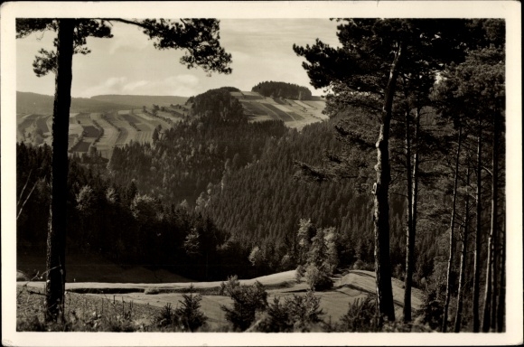 Postcard Wurzbach in Thuringia, forest view to Sormitzgrund