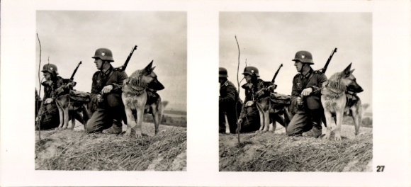 Stereo Raumbild Foto "Der Kampf im Westen", Nr. 27, Meldehunde im Einsatz