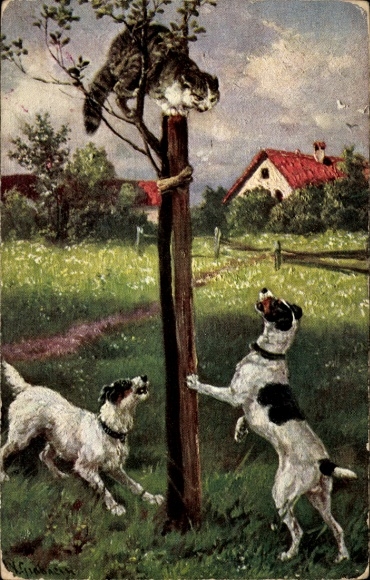 Kunstenaar Ak honden, kat op de boom