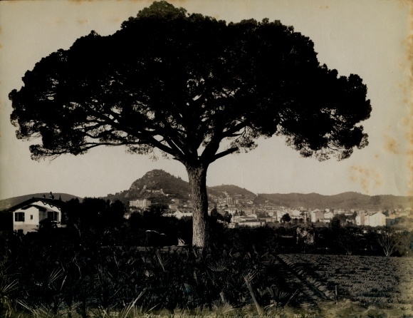Chromotype Hyères Var, General view taken from the Jardin d&#39;Acclimatation