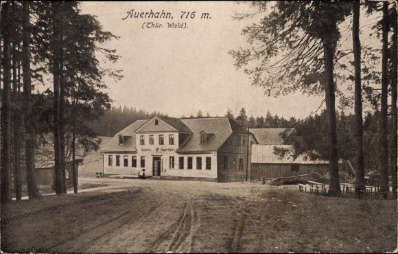 Ak Ilmenau in Thüringen, Gasthof Auerhahn