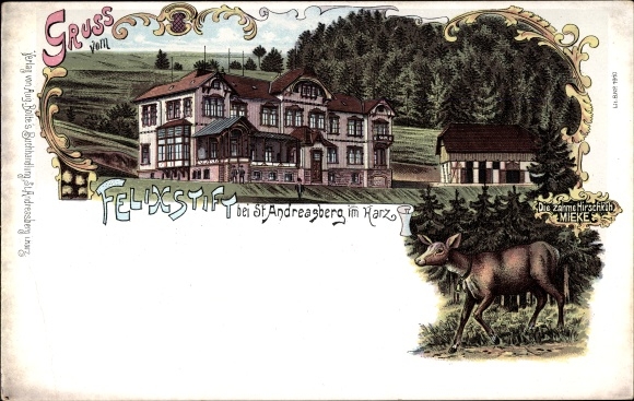 Chromo-Litho St. Andreasberg Braunlage in the Harz Mountains, Felixstift, tame hind Mieke