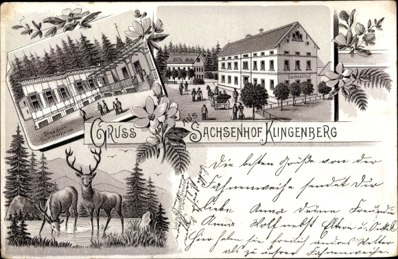 Chromo-Litho Klingenberg in the Ore Mountains of Saxony, Dresden summer home, Sachsenhof, deer