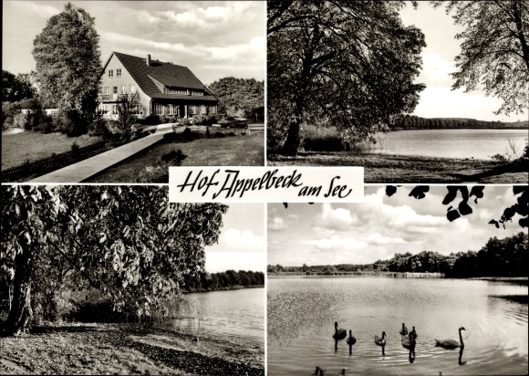 Ak Moisburg in Nedersaksen, Hof Appelbeck am See, eigenaar Gertrud Vollmers
