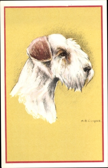 Artist PC Cooper, MB, Schnauzer, Dog Portrait