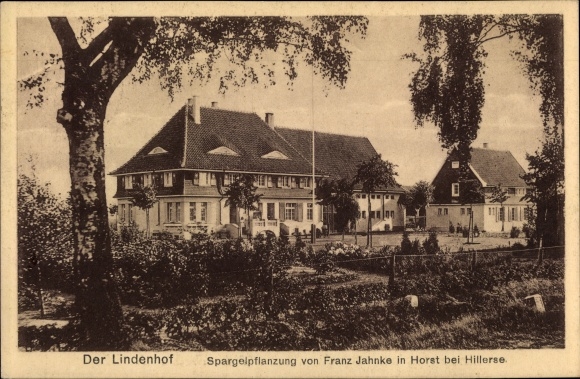Postcard Horst in Lower Saxony, Lindenhof asparagus plant