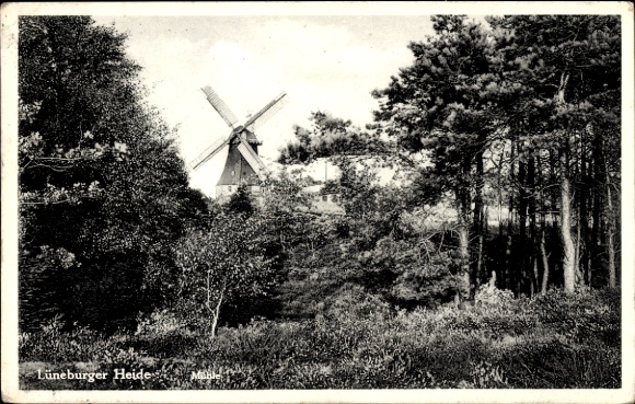 Ak Buchholz in de Nordheide, windmolen