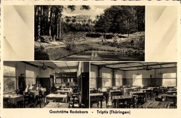 Ak Rodaborn Triptis in Thüringen, Gaststätte Rodaborn, Thüringen, Landschaftsaufnahme, Restaurant