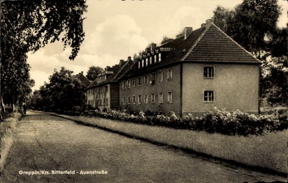 Ansichtkaart Greppin Bitterfeld Wolfen Saksen Anhalt, Auenstrasse