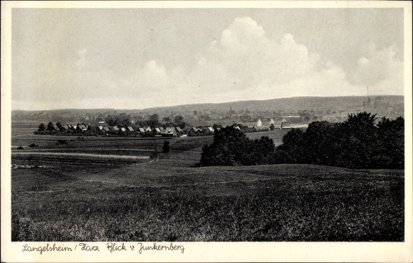 Ak Langelsheim Harz, Panorama vom Junkernberg aus