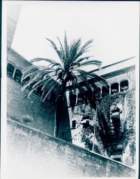 Photo film scene Barcelona, short documentary, Germany 1952, Jordan J. von Boyadjieff