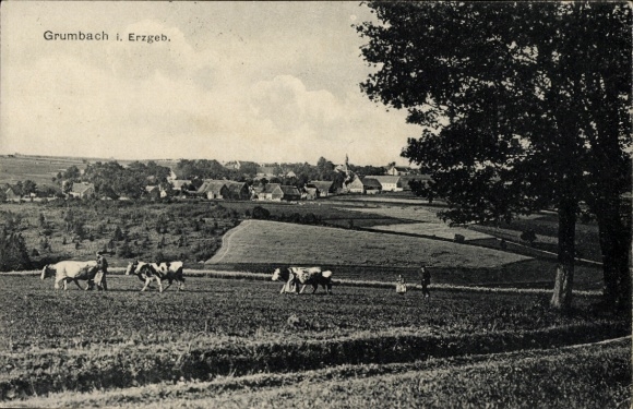 Ak Grumbach Jöhstadt im Erzgebirge, Landschaft mit Wiesen, Kühen, Fässern, Häusern im Hintergrund