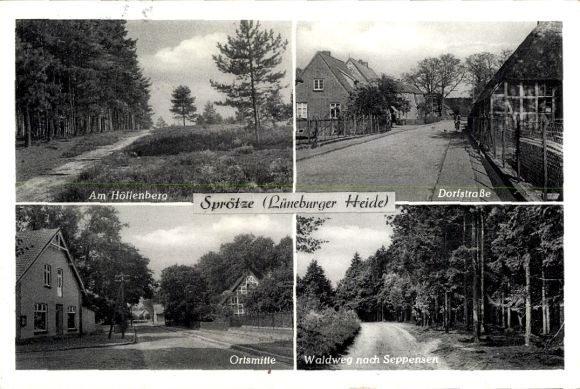 Ak Sprötze Buchholz in de Nordheide, Höllenberg, dorpsstraat, stadscentrum, bospad