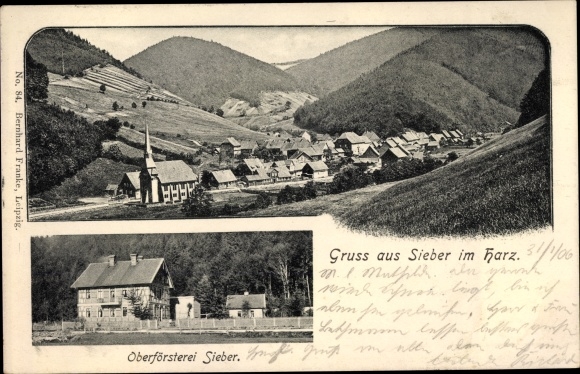 Ak Sieber Herzberg am Harz, panorama van de plaats, boswachter