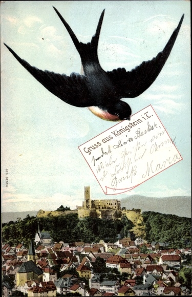 PC Koenigstein im Taunus, general view, swallow