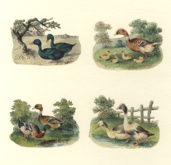 4 Oblaten Enten am Teich, im Garten, mit Küken, je ca. 6 x 6 cm
