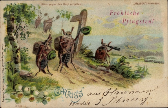 Halt gegen das Licht Litho Glückwunsch Pfingsten, Maikäfer, Wanderer