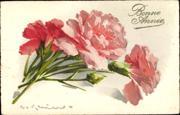 Artist Postcard Klein, Catharina, Carnations