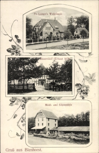 Postcard Bad Blenhorst Balge in Lower Saxony, Fr. Lange's house, farm, sawmill