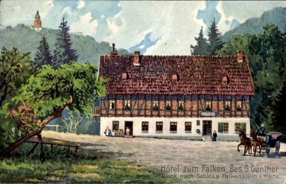 Artist Postcard Falkenstein in the Harz, Hotel zum Falken by G. Günther, Castle