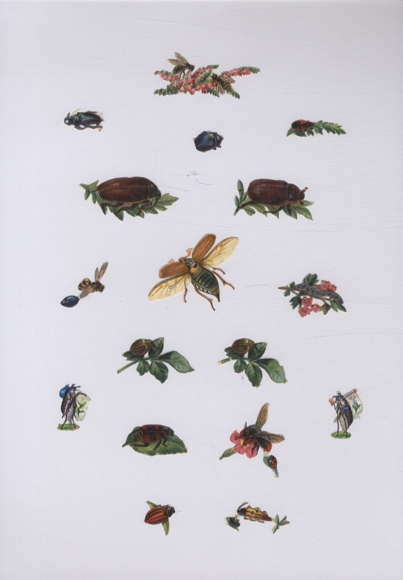 18 wafers beetles and insects, approx. 4 x 5 cm to 1 x 2 cm
